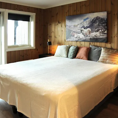 In Gol Skisenter Apartmán Holtegard