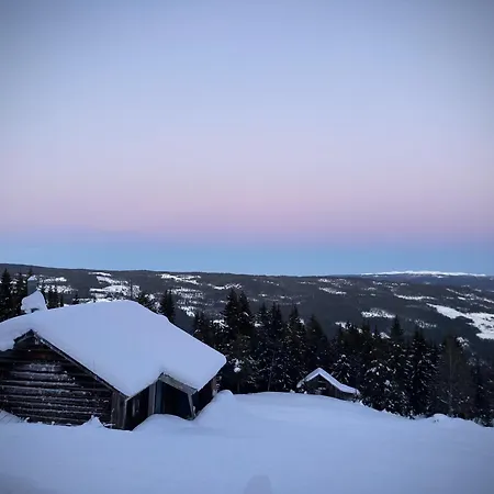 Lejlighed In Gol Skisenter Holtegard