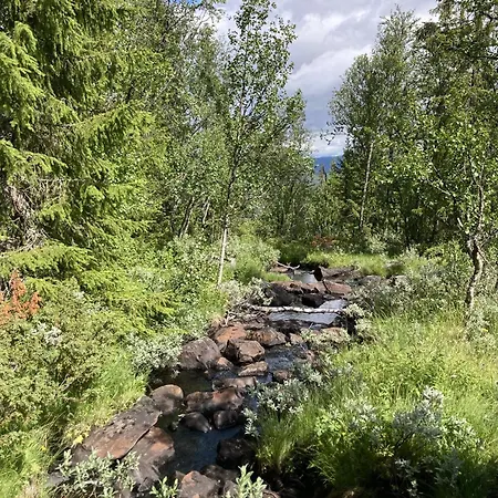 In Gol Skisenter Lejlighed Holtegard