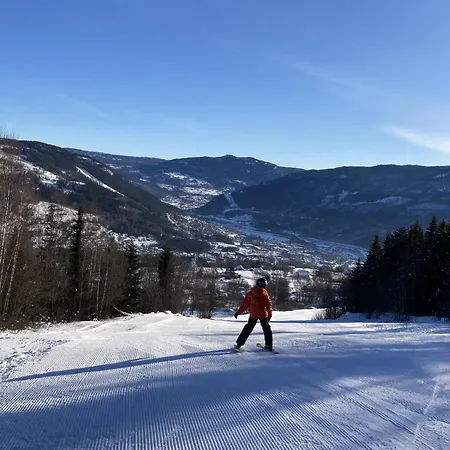 In Gol Skisenter * Holtegard