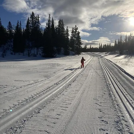 Lejlighed In Gol Skisenter Holtegard