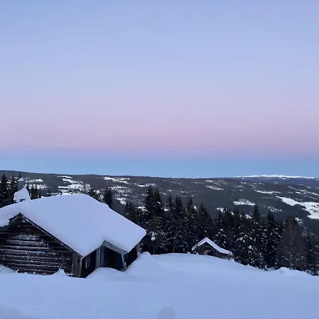 Lejlighed In Gol Skisenter Holtegard