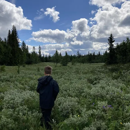 In Gol Skisenter Apartamento