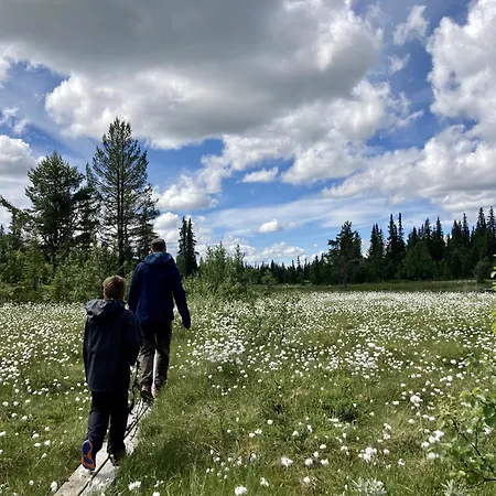 In Gol Skisenter Holtegard