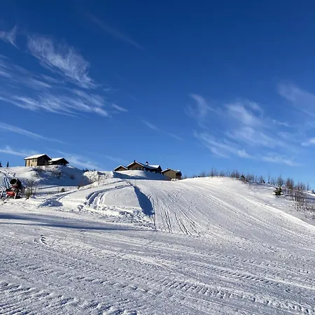 In Gol Skisenter Apartmán