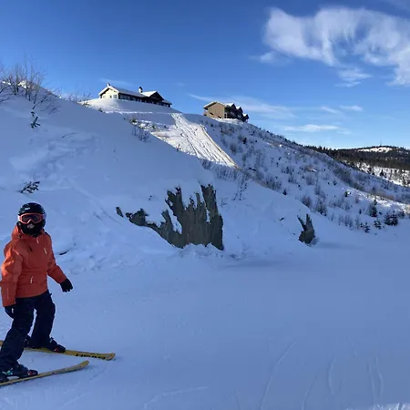 In Gol Skisenter Apartamento Holtegard