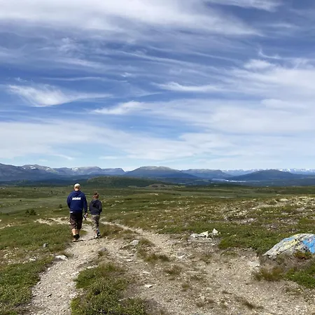 Apartamento In Gol Skisenter *