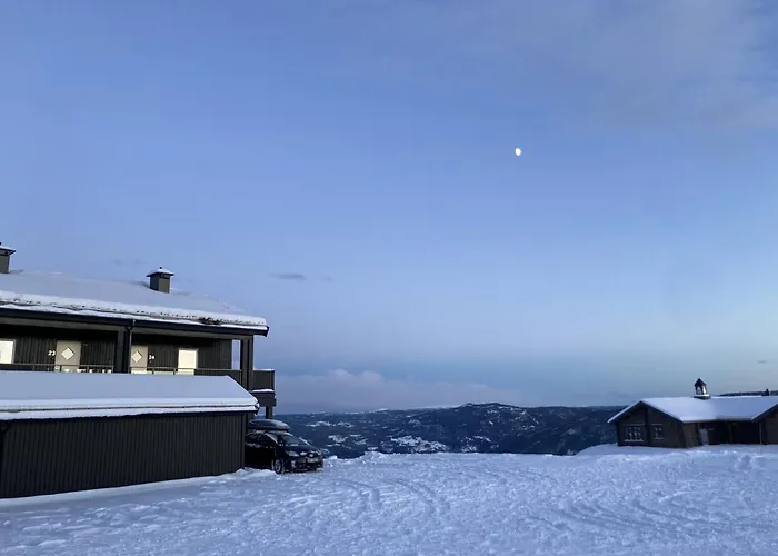 In Skisenter Leilighet *