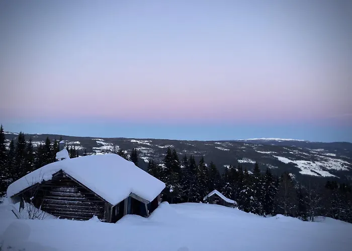 Apartman In Skisenter Gol