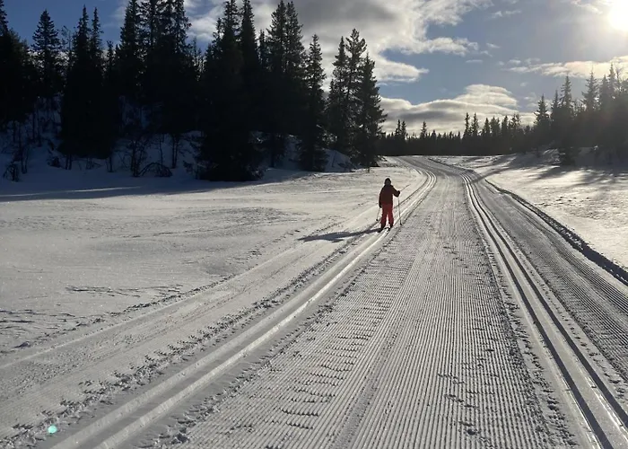 Apartman In Skisenter Gol