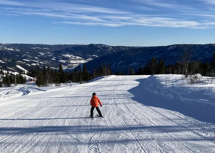 In Skisenter * Gol