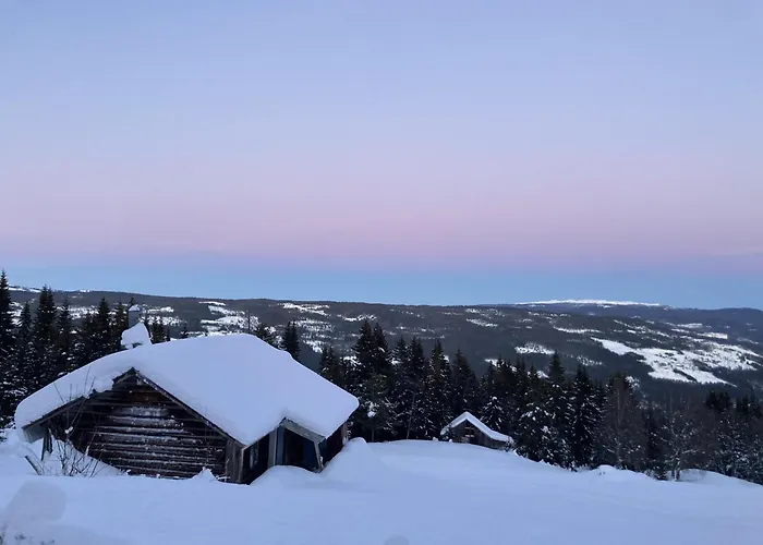 Apartman In Skisenter Gol