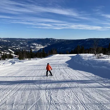 In Gol Skisenter * Holtegard